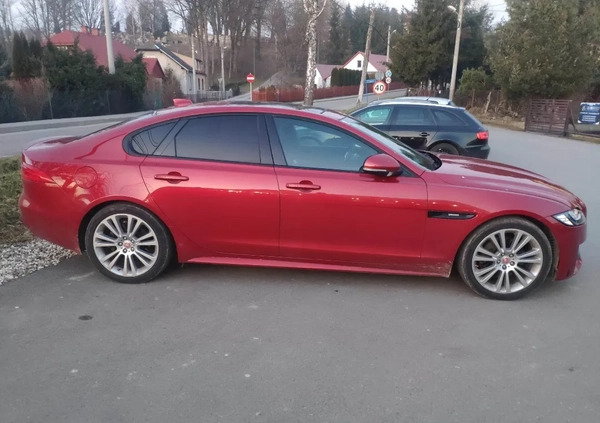 Jaguar XF cena 73900 przebieg: 131000, rok produkcji 2015 z Tuchów małe 37